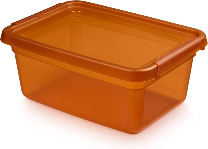 Basestore Aufbewahrungsbox mit Deckel und Clips, amber, 12,5 l