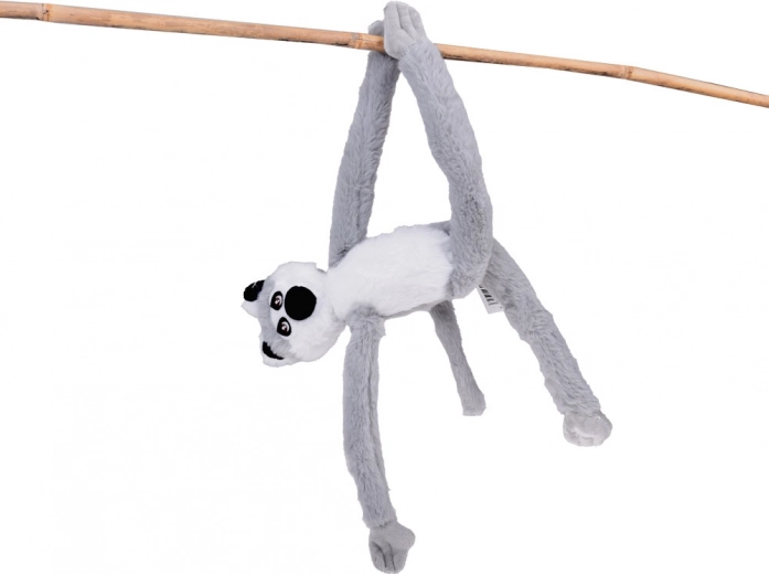 Ein Lemur, der „klettert“ und hängt wie in der Natur