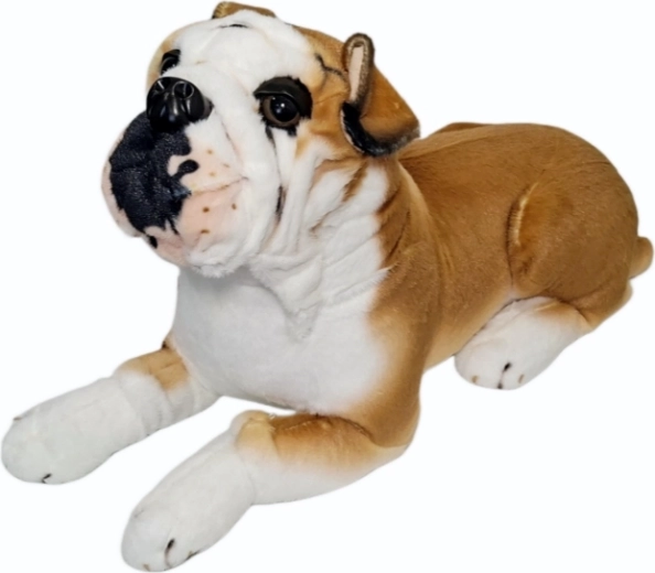 Plüschhund Bulldogge – 1 Stück