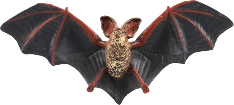 Realistische Darstellung einer Fledermaus