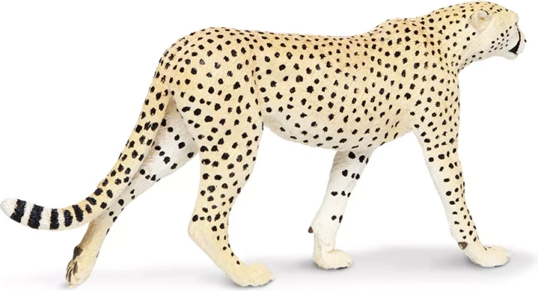 Qualität der Marke Safari Ltd.
