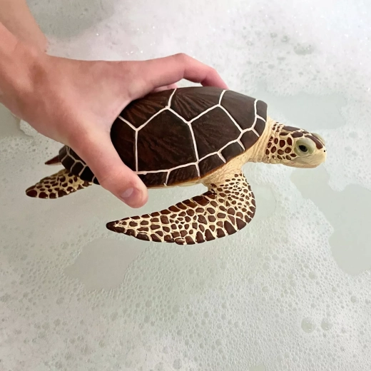 Ideal für unterwegs und für die Badewanne