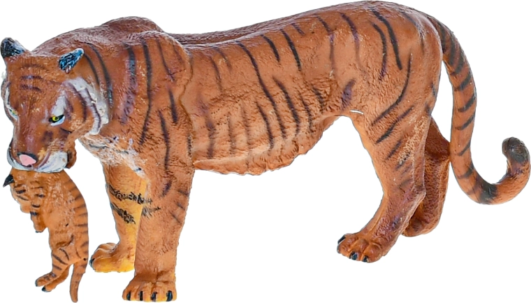 Ideal für Sammlungen und Bildung