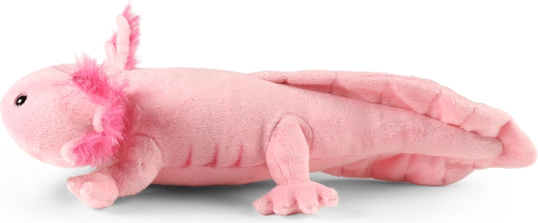 Größe 34 cm für kleine und große Kuschelfans