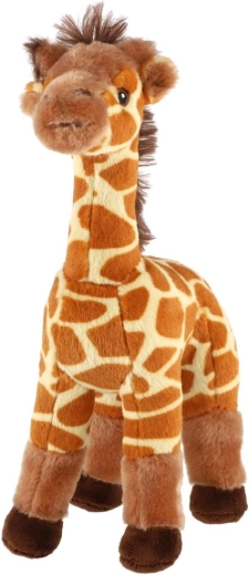 Niedliches Giraffen-Aussehen