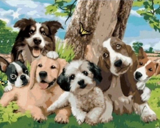 Norimpex Malen nach Zahlen Hunde unter dem Baum 40 × 50 cm