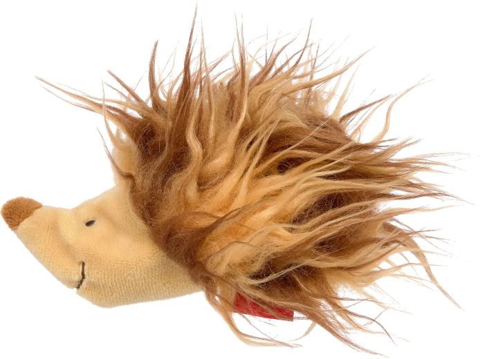 Strukturen, die begeistern – Igel mit „stacheligem“ Fell