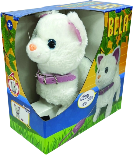 Katze Bela mit Steuerung an der Leine