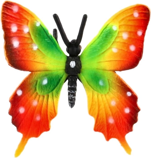 Auffällig bunte Flügel