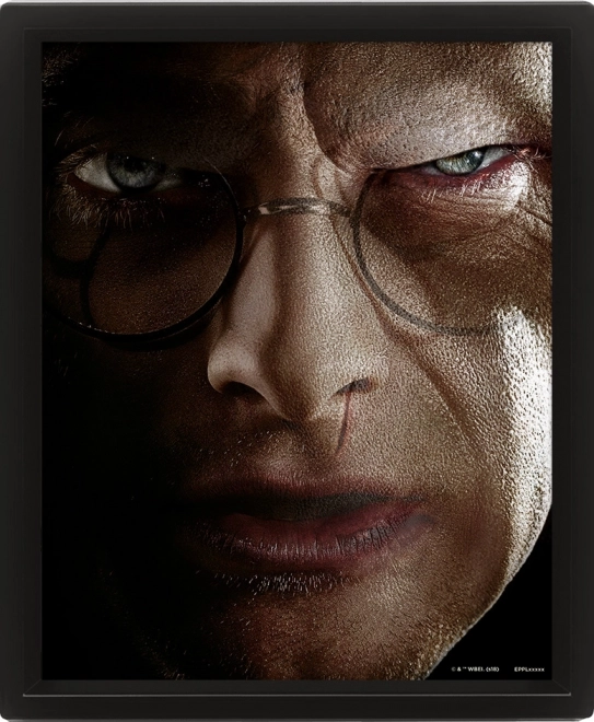 3D-Bild Harry Potter – Duell mit Voldemort
