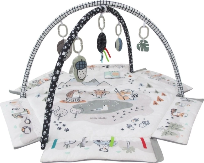 Sensorische Stimulation und Motorik