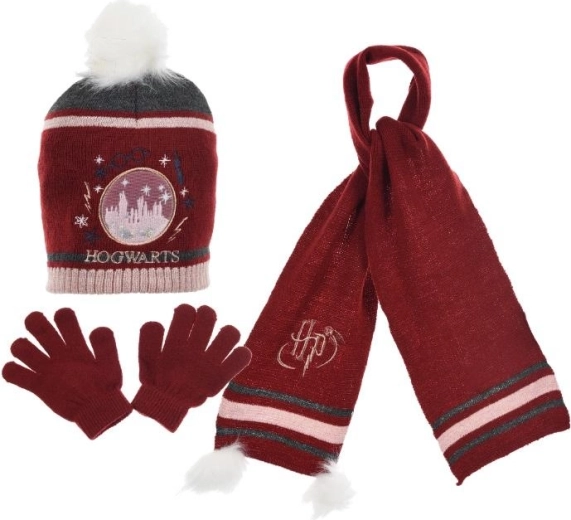 Winterset aus Mütze, Schal und Handschuhen von Harry Potter – 3 Stück