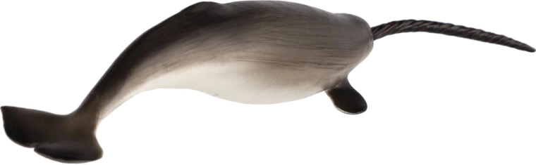 Detailgetreue Darstellung des Narwals