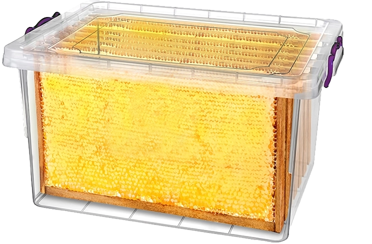 Sichere Aufbewahrung von Bienenwabenrahmen