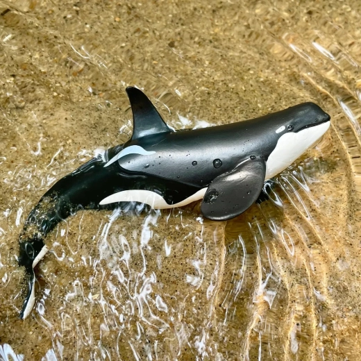 Auch für das Spielen im Wasser geeignet