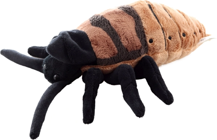 Ideale Größe 20 cm