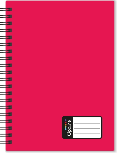 Notizbuch A4 mit Twin-Wire-Bindung, 60 Blatt, rot, PP Opaline