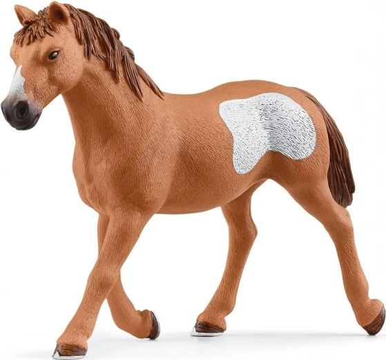 Realistische Tiere zum Spielen und Entdecken