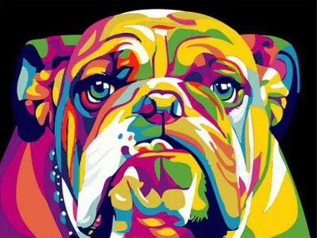 NORIMPEX Malen nach Zahlen Bunter Bulldogge 40 × 50 cm