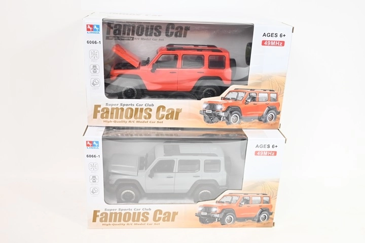 Ferngesteuertes Offroad-Auto mit Batterie im Lieferumfang