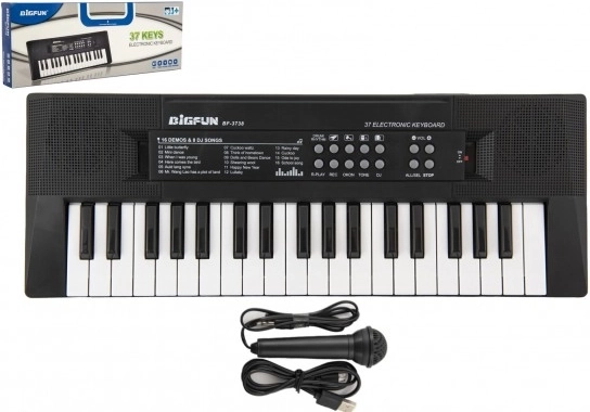 Elektronisches Kinderklavier mit Mikrofon