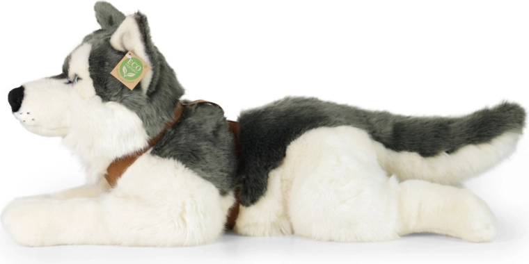 Realistisches Aussehen des Huskys