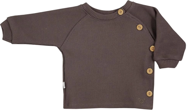 Baby-Langarmshirt Koala Pure braun