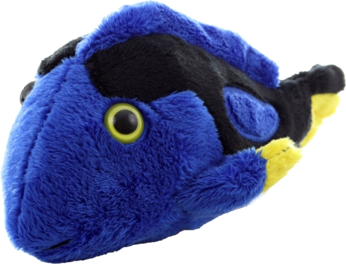 Leuchtende Farben, die begeistern