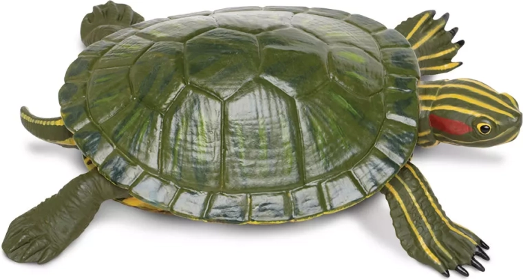 Figur Schmuck-Schmuckschildkröte Safari Ltd. – 1 Stück