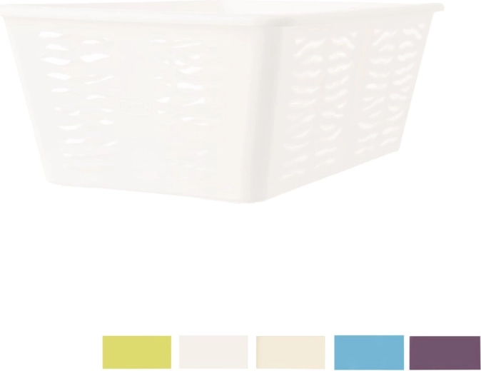 Modernes Zebra-Design und Farbmix