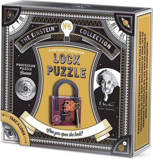 Professor Puzzle Rätsel Einstein: Schloss