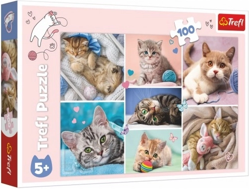 Puzzle In der Katzenwelt 100 Teile Trefl