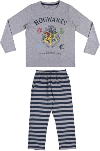 Hogwarts-Motiv für Harry-Potter-Fans