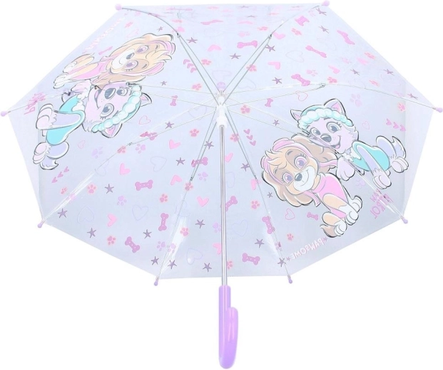 Fröhliches Paw-Patrol-Motiv