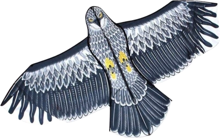 Stabiler Flug auch für Einsteiger