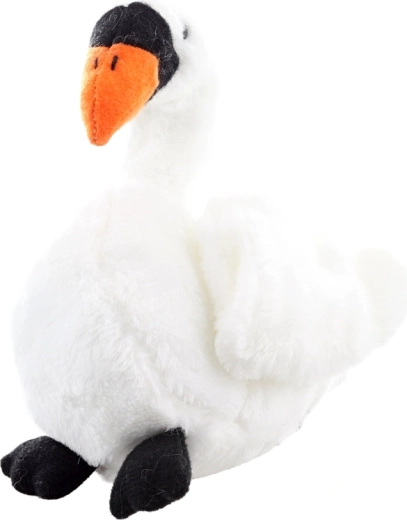 Eco-friendly Materialien