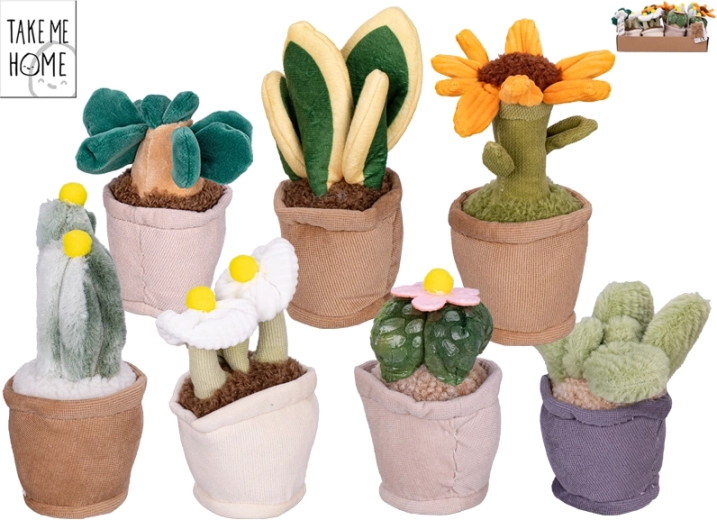 Plüsch-Zimmerpflanzen Take Me Home 12–17 cm, 7 Arten