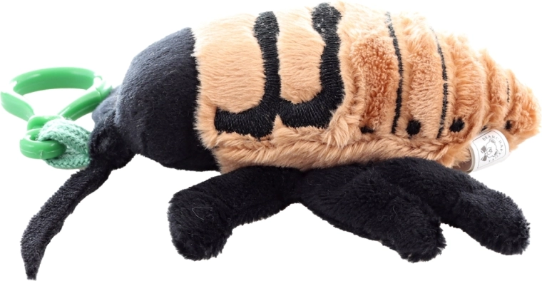 Kompakte Größe für unterwegs