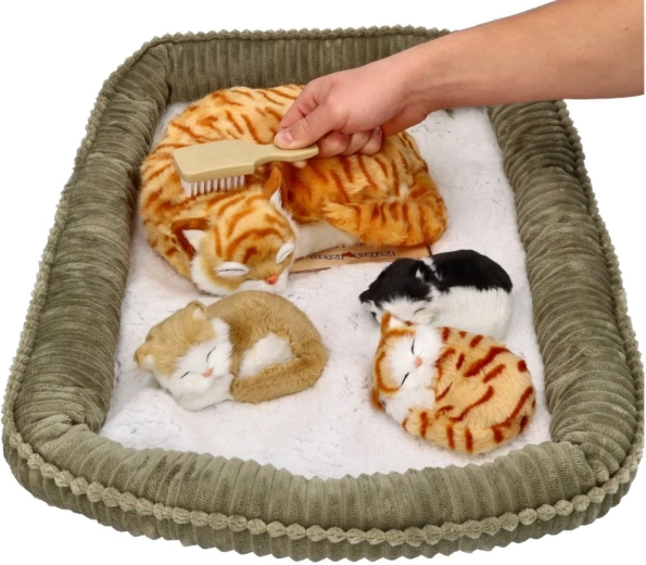 Gemütliches Körbchen