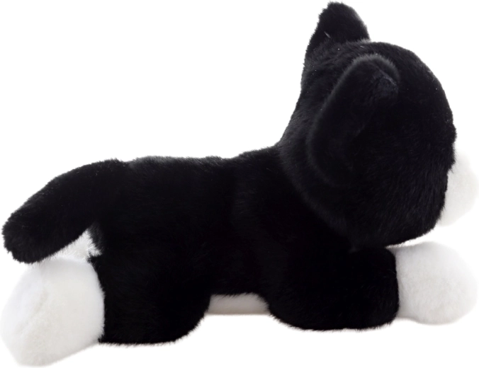 Leicht und ideal für unterwegs