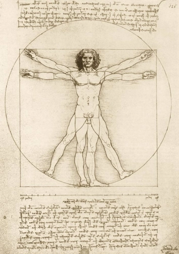 Puzzle Der vitruvianische Mensch 1000 Teile von LEONARDO DA VINCI