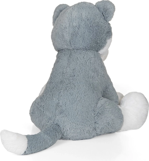 Sitzposition und Schwanz mit weißer Spitze