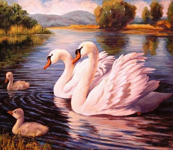 Norimpex Malen nach Zahlen Schwäne 40 × 50 cm