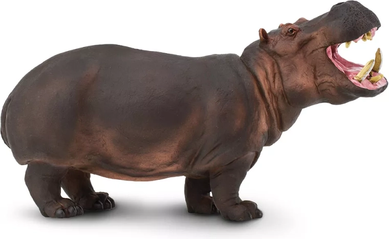 Safari Ltd. Nilpferd – realistische Figur - 1 Stück
