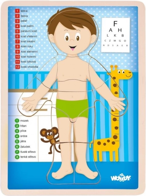 Woody doppelseitiges Puzzle Menschlicher Körper - Junge