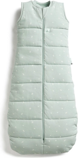 ErgoPouch Schlafsack aus Bio-Baumwolle Jersey Sage 2,5 TOG (8–24 Monate)