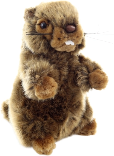 Sicher ab der Geburt