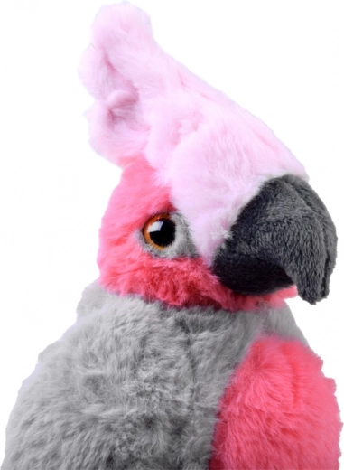 Ideale Größe für unterwegs