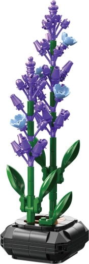 CaDA Lavendelblüte im Blumentopf 1:1