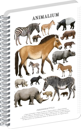Notique Spiralblock Animalium – Unpaarhufer, A4, kariert